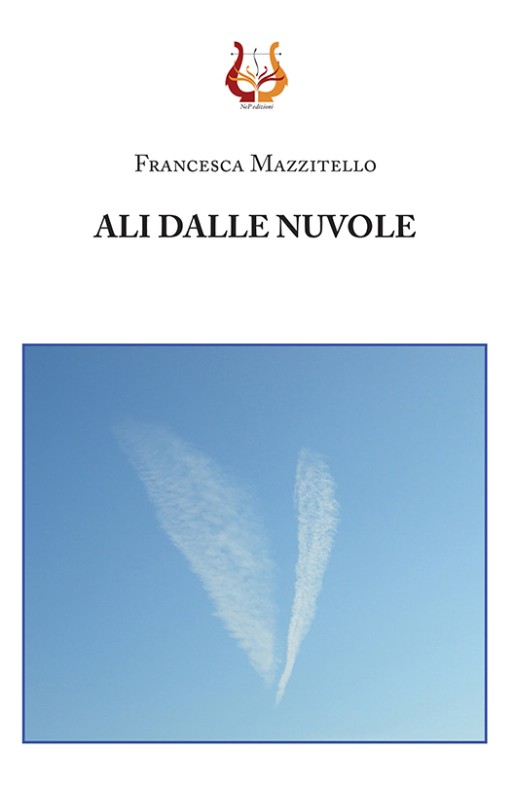 Ali dalle nuvole - eBook