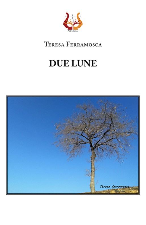 Due lune - eBook