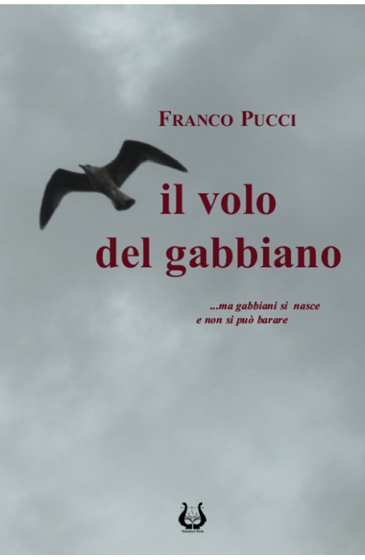 Il volo del gabbiano - eBook