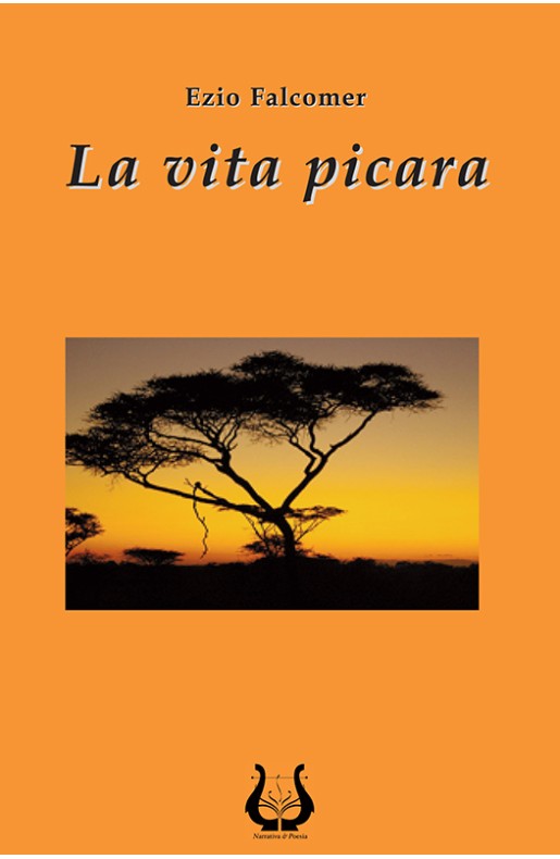 La vita picara - eBook