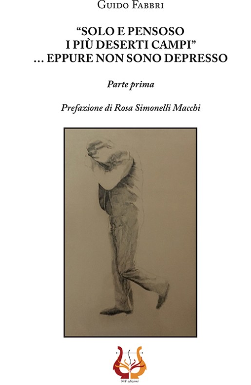 "Solo e pensoso i più deserti campi"...eppure non sono depresso - eBook