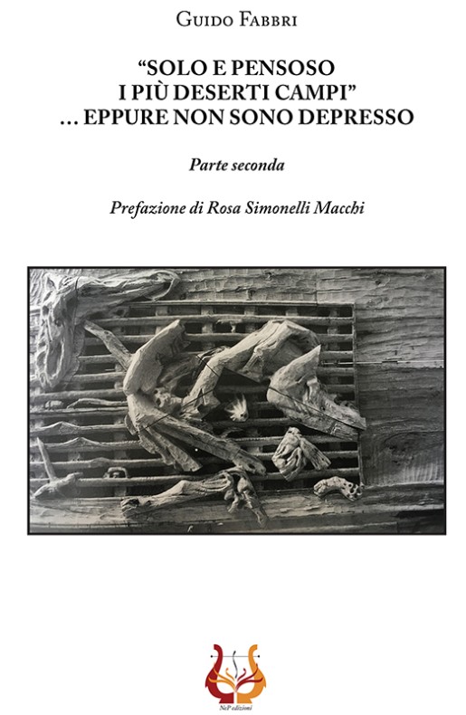 "Solo e pensoso i più deserti campi"...eppure non sono depresso II ed. - eBook