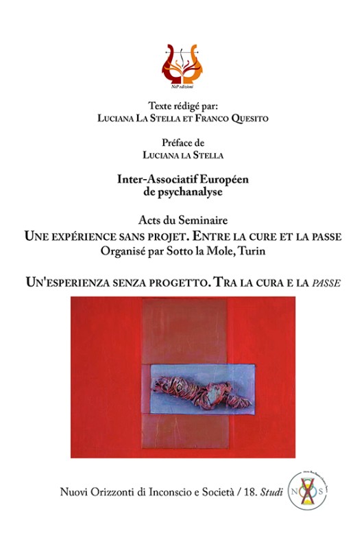 Un'esperienza senza progetto. Tra la cura e la passe - eBook