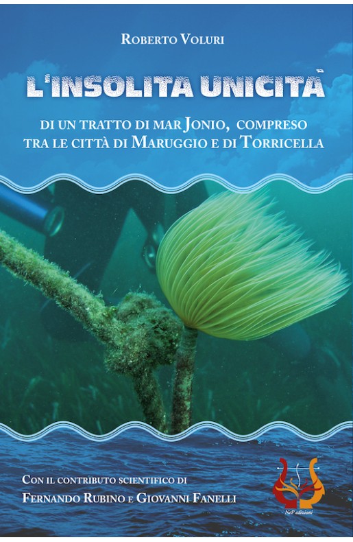 L’insolita unicità - Cartaceo