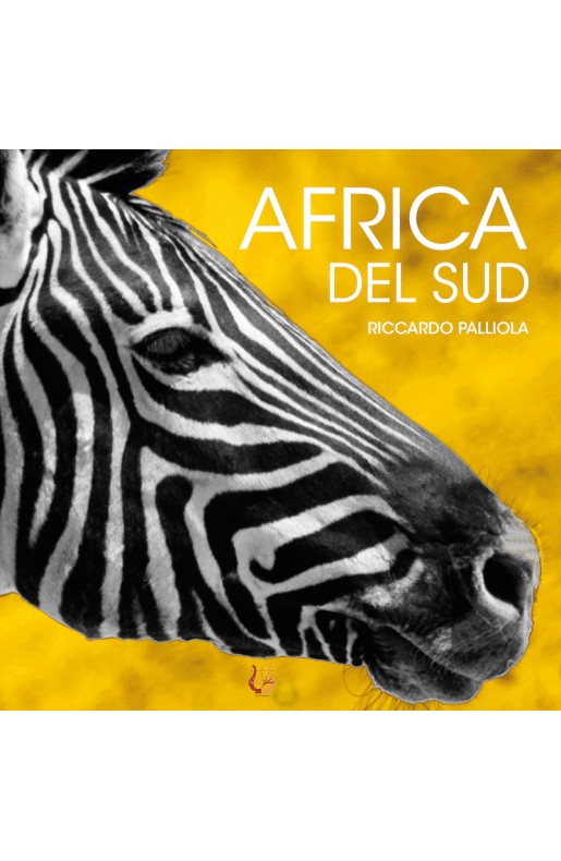 Africa del sud