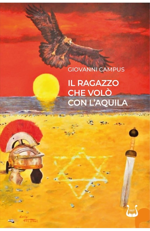Il ragazzo che volò con l’aquila - eBook