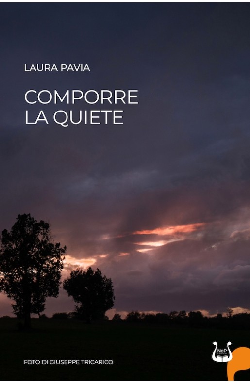 Comporre la quiete - eBook