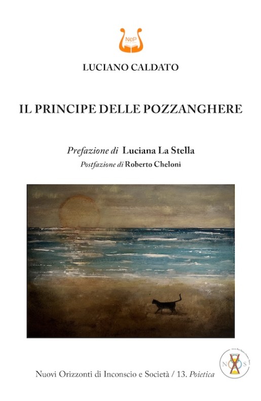 IL PRINCIPE DELLE POZZANGHERE - eBook