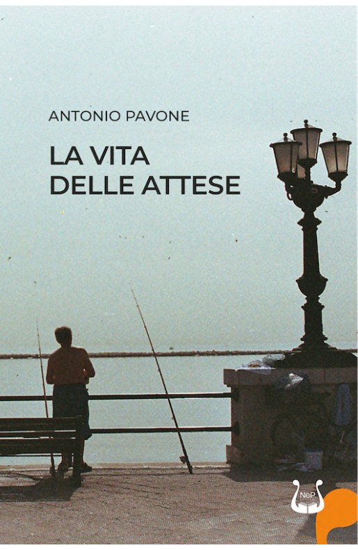 LA VITA DELLE ATTESE - eBook